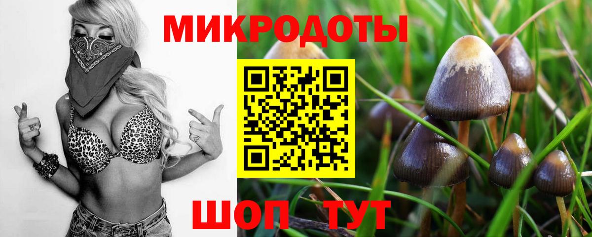 Новочеркасск  Галлюциногенные грибы Psilocybe  Вход с VPN  Галлюциногенные грибы MAGIC MUSHROOMS 